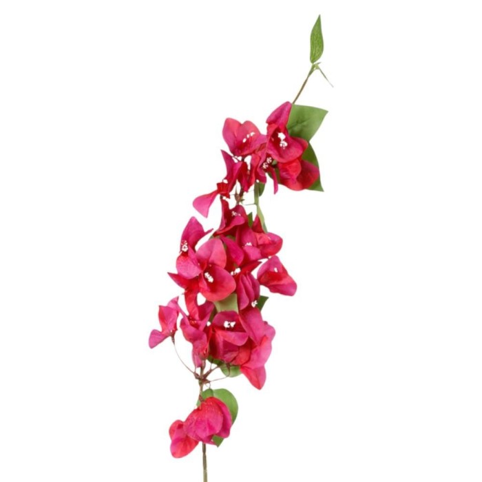 RAMO BOUNGAVILLEA CM.80 FUXIA